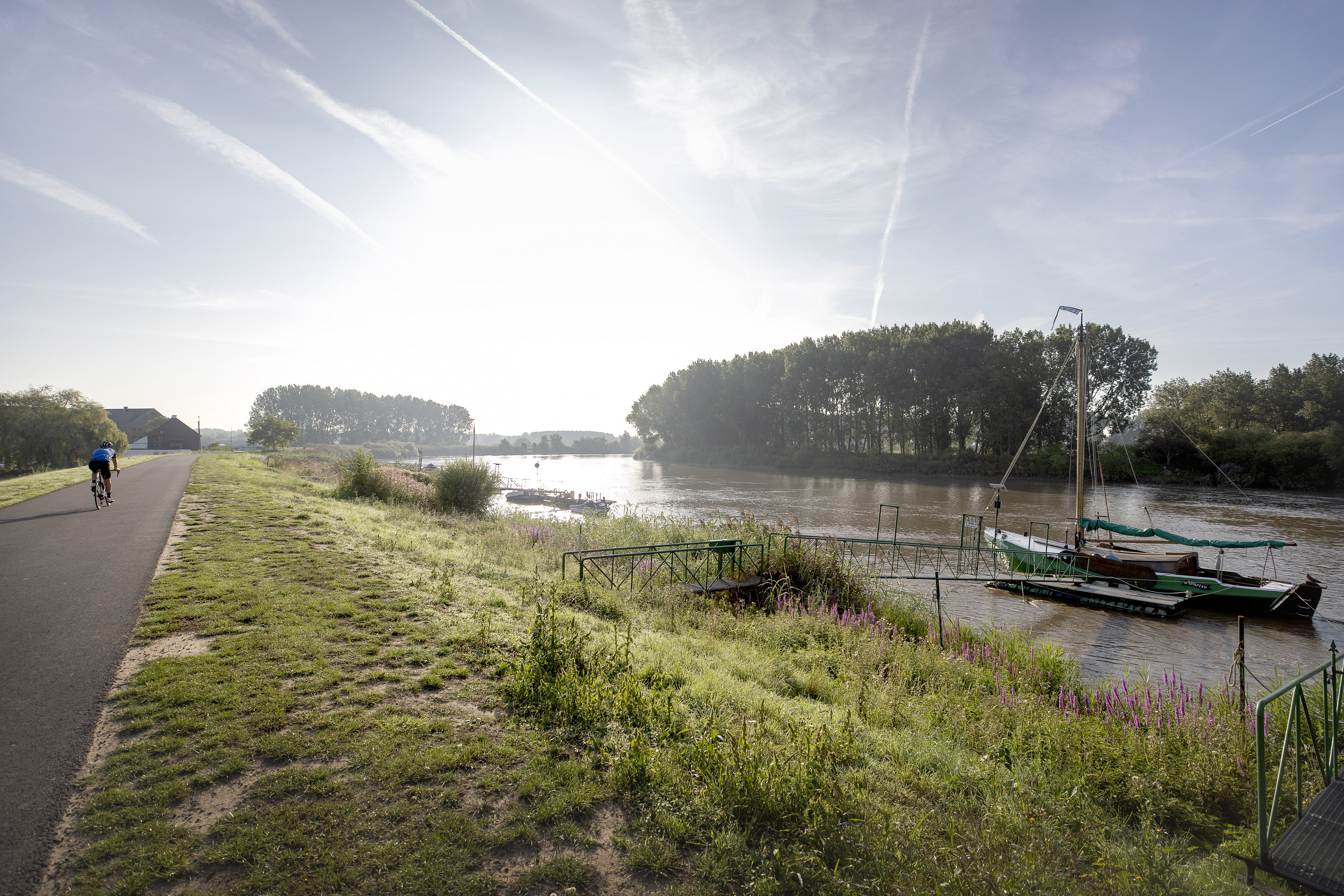 Scheldeland Dijk De Kille